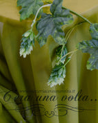 Menta Selvatica