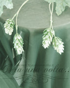 Tè verde