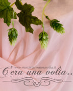Rosa Selvatico