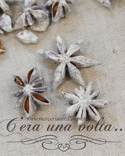 Anice stellato per decorazioni