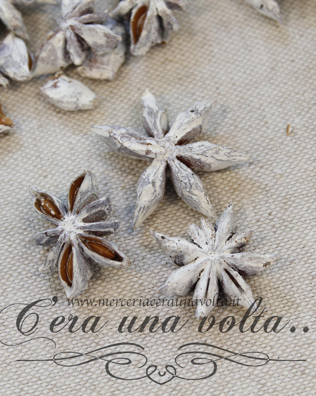 Anice stellato per decorazioni