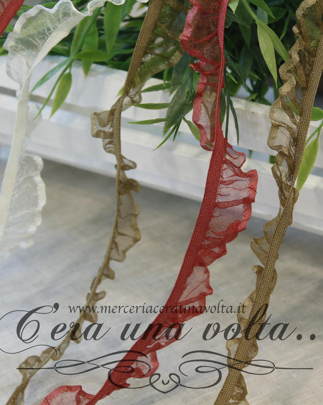 Pizzo in organza colorato