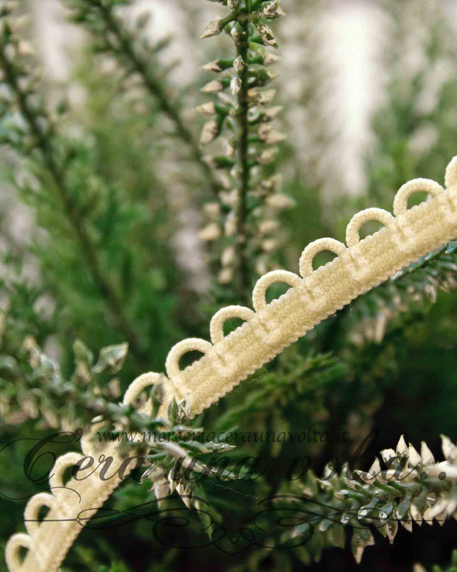 Passamaneria elasticizzata