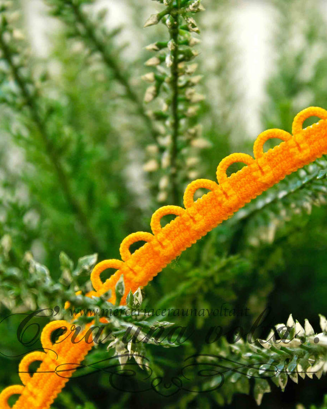 Passamaneria elasticizzata