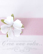 Cipria