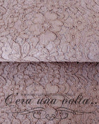 Rosa antico