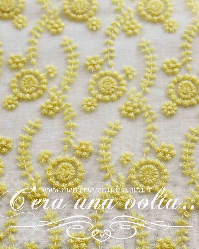 Pizzo Mimosa