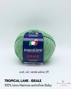 verde salvia 29