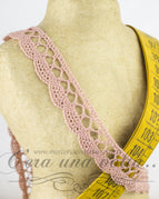 Rosa antico
