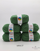 salvia 27